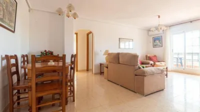 Pis – Pilar de la Horadada, Mil Palmeras, Urbanización Mil Palmeras - Vista 3