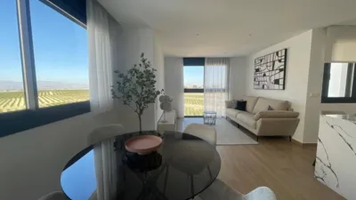 Chalet in Algorfa photo 24