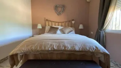 Rustic villa in Albatera photo 17