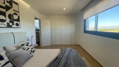 Chalet in Algorfa photo 13