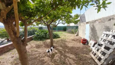 Chalet on Camí del Molí photo 8