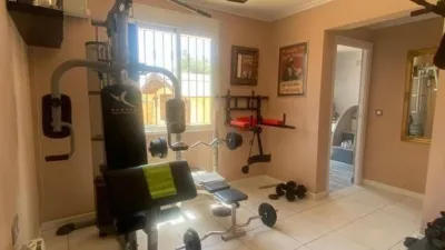 Rustic villa in Albatera photo 8