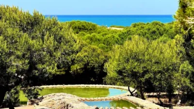 Apartment in Aguas Nuevas-Torreblanca-Sector 25 photo 31