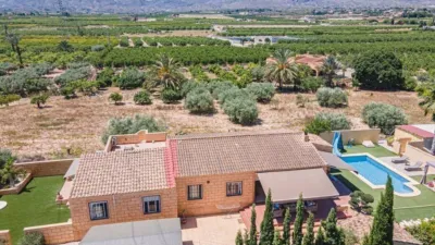 Rustic villa in Albatera photo 4