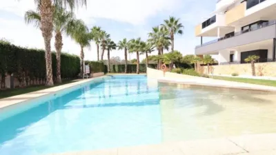 Piso – Orihuela, La Pinada, Urbanización la Florida - Vista 3