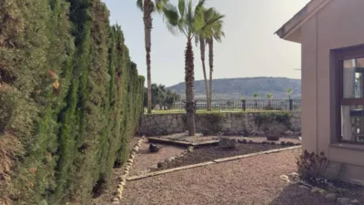 House in Algorfa photo 14