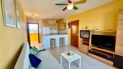 Pis – Torrevieja - Vista 2
