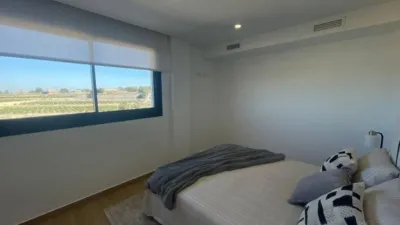 Chalet in Algorfa photo 10