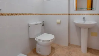 Villa in Algorfa photo 19