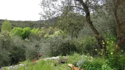 Rustic property in Los Marines photo 65