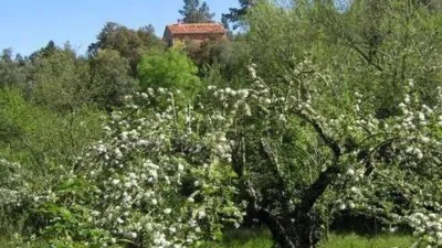 Rustic property in Los Marines photo 62