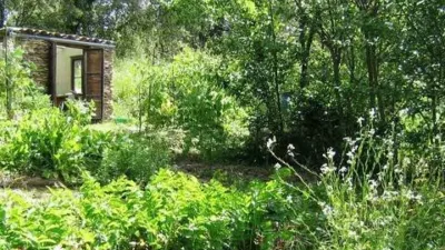 Rustic property in Los Marines photo 59