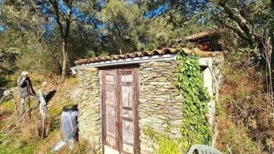 Rustic property in Los Marines photo 43