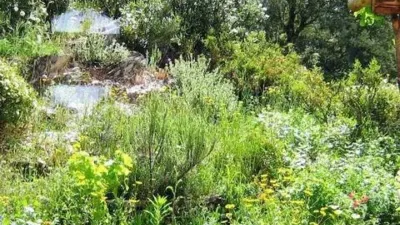Rustic property in Los Marines photo 39