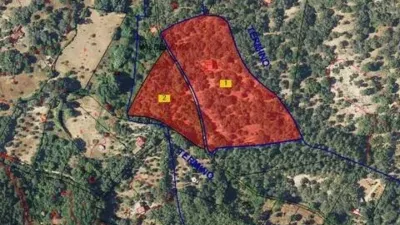 Rustic property in Los Marines photo 64