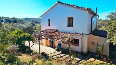 Rustic property in Los Marines photo 7
