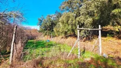 Rustic property in Los Marines photo 58