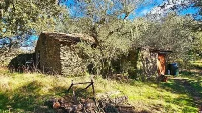 Rustic property in Los Marines photo 49