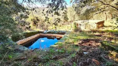 Rustic property in Los Marines photo 47