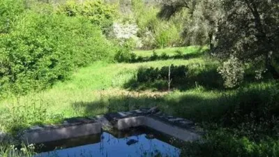 Rustic property in Los Marines photo 56