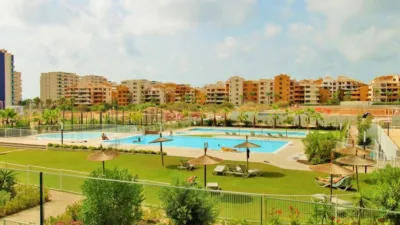 Pis – Orihuela - Vista 5