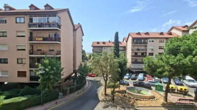 Apartment in Algete photo 31