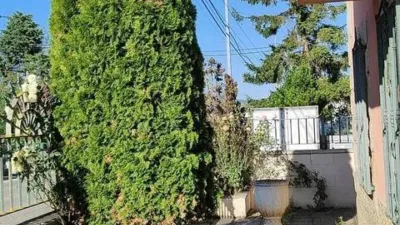 House on Burgos Street photo 4