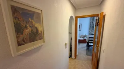 Apartment in Formentera del Segura photo 21