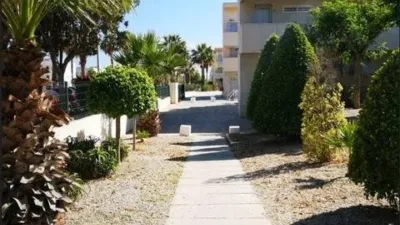Penthouse on Avenida de los Juegos del Mediterráneo photo 21