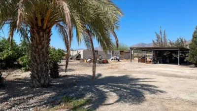 Villa in Crevillent photo 16