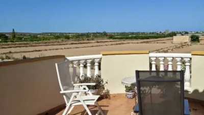 Villa in Guardamar del Segura photo 20