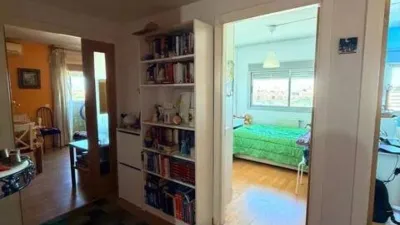 Apartment in Orcasur photo 11