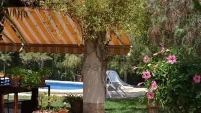 Chalet in Mutxamel photo 25
