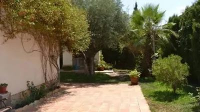 Chalet in Mutxamel photo 8