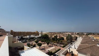 Apartment in Formentera del Segura photo 17