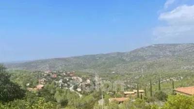 Chalet in Olivella photo 15