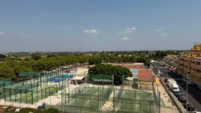 Apartment in Formentera del Segura photo 28
