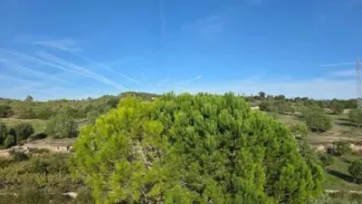 Chalet in Cala Millor photo 33