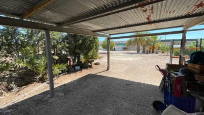 Villa in Crevillent photo 19