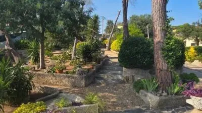 Chalet in Maçanet de la Selva photo 28