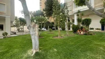 Apartment in Playa de San Juan photo 11