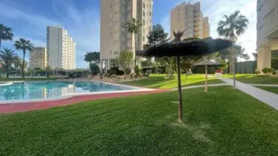 Apartment in Playa de San Juan photo 8