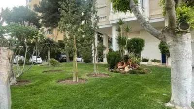 Apartment in Playa de San Juan photo 2