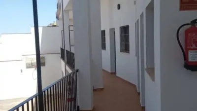 Apartment in Benaocaz photo 3