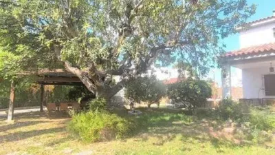 Chalet in Entrepinos photo 23