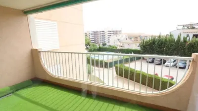 Apartment in Cabo Roig-La Zenia-La Regia photo 7