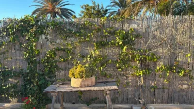Casa - Vista 5