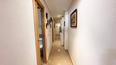 Apartment in Las Viñas photo 8