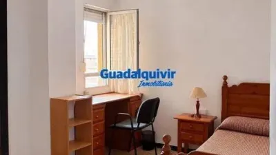 Apartment in Seville City Centre photo 8