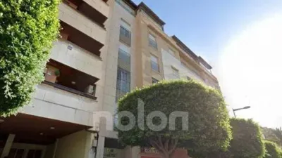 Apartment in Barrio Sur photo 4